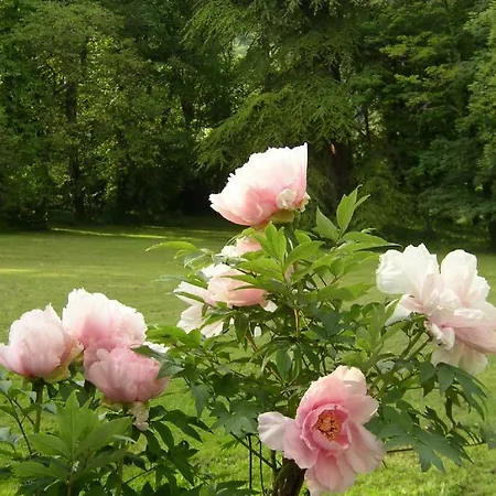 Gæstehus Le Domaine De Pomone 3*