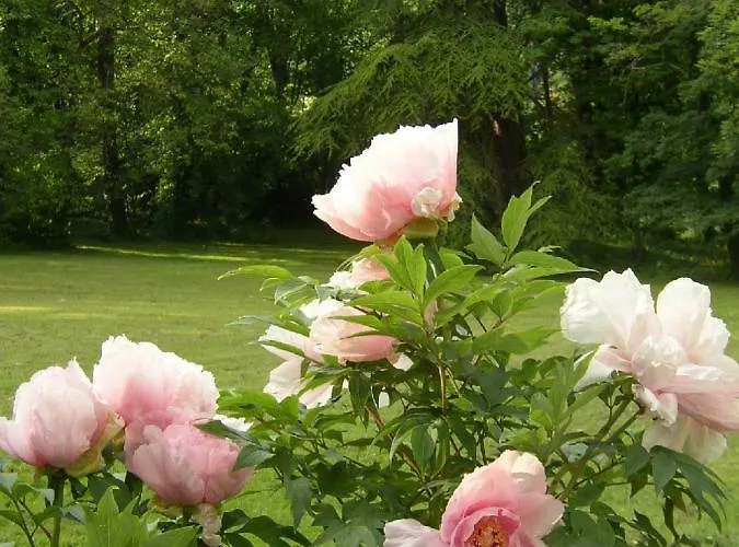 Affittacamere Le Domaine De Pomone 3*